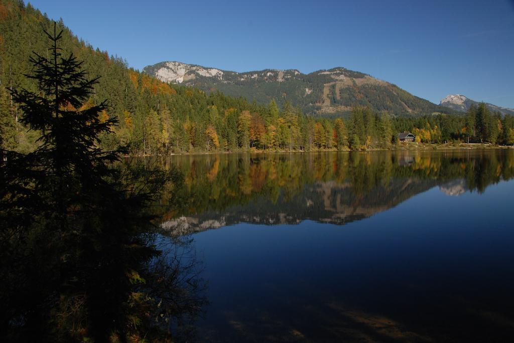 Bauernhof Haim-Schnepfleitner Pichl bei Aussee Luaran gambar