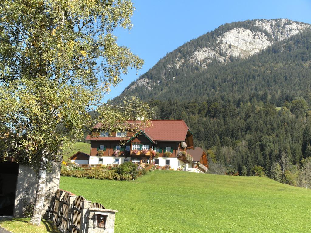 Bauernhof Haim-Schnepfleitner Pichl bei Aussee Luaran gambar