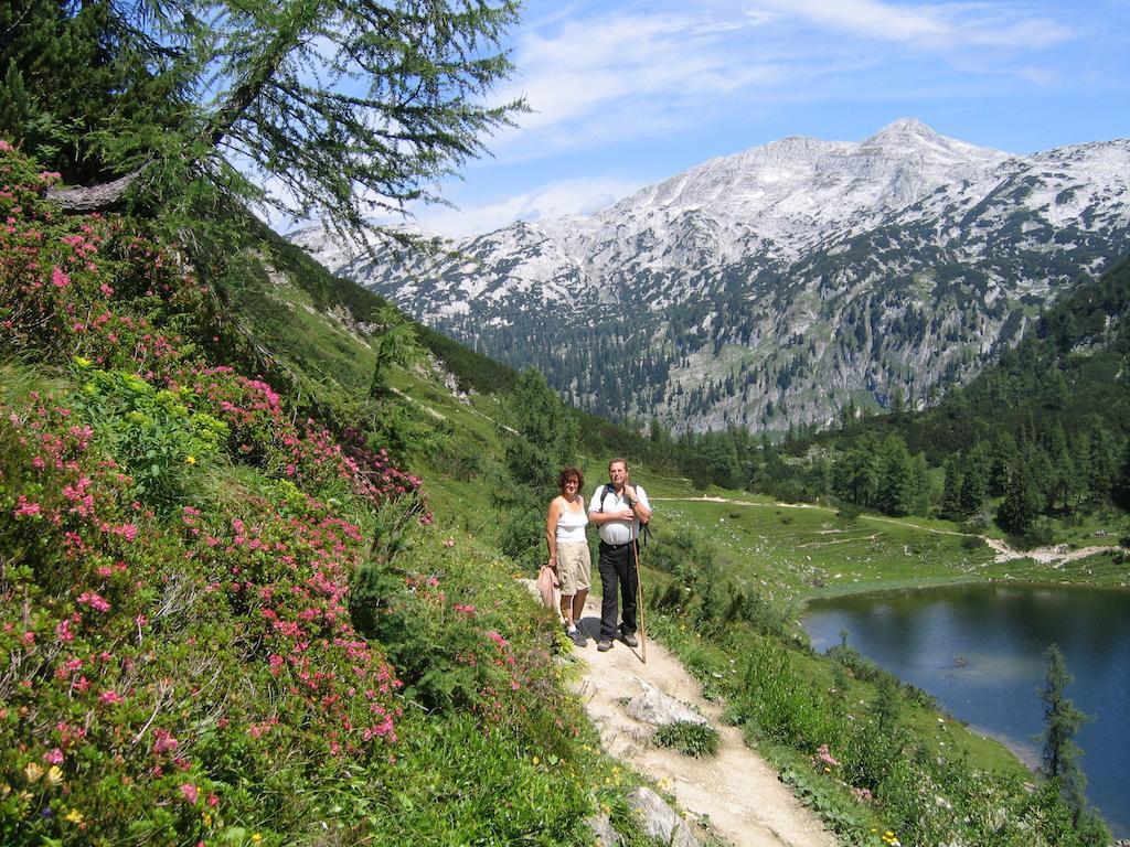 Bauernhof Haim-Schnepfleitner Pichl bei Aussee Luaran gambar